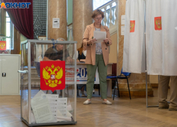 Появление дипфейков не исключили на выборах-2026 в Волгоградской области 