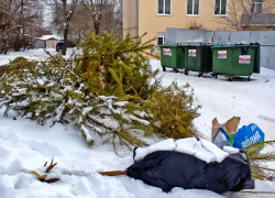 Никто в Камышине не хочет переработать выброшенные елки на что-нибудь полезное? - камышанин