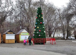 Первая наряженная новогодняя елка появилась в городском парке имени Комсомольцев-добровольцев в Камышине (ВИДЕО)