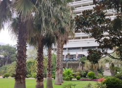 Новое подорожание услуг для камышан: от стрижек и мойки до курортов и "коммуналки"