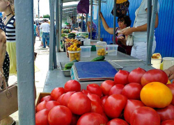 Камышане "отрываются" на местных помидорах
