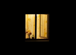 Смертельная расправа над пенсионеркой в Жирновске Волгоградской области: родной сын выбросил женщину из окна