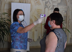 В Камышине члены ТИК и УИК прорепетировали голосование