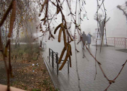 Сегодня - ливни, завтра - ливни: погодный  "апокалипсис" в Камышине