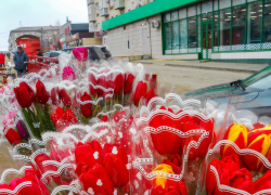 В Камышине "ни с того, ни с сего" начали торговать тюльпанами