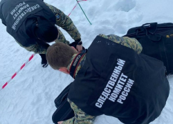 В Следственном управлении СК причиной внезапной смерти упавшего в гололед в Камышинском районе мальчика назвали сердечную недостаточность, а не травму