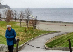 Камышанам-пенсионерам, может быть, государство скоро начнет дарить 13-ю пенсию в день рождения