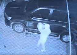 Миллион рублей пообещали жителям Волгоградской области за поимку поджигателя ВИП-авто  (ВИДЕО)