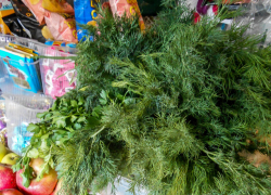 В Камышине укроп, петрушка и лук продаются, как деликатес, по 500 рублей за килограмм