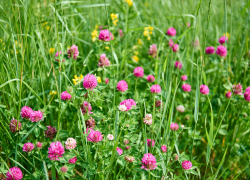 "Дело ведь не в сене - селяне не понимают, почему Усть-Грязнуху в Камышинском районе иногда считают чем-то похожим на личное поместье одной семьи?"