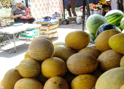 Цены на бахчевые в Камышине пока "заморозились"