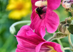 Камышанам обещана комфортная погода днем и ночью 25 июля