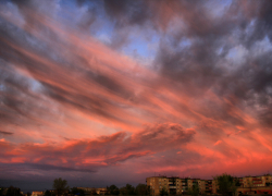 Тело молодого мужчины, выпавшего с балкона высотки в волгоградском микрорайоне Жилгородок, обнаружили прохожие