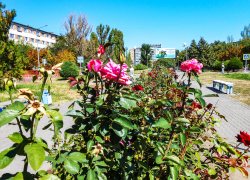 Лето не хочет уходить из Камышина: погодная повестка на 21 сентября