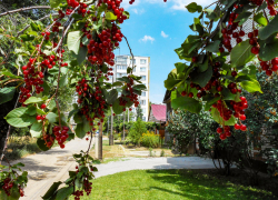 Кому из камышан придется сидеть без света 7 августа