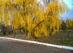 Четверг 13 ноября приходит в Камышин с дождем и сумасшедшей магнитной бурей