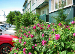 Фигурантка не успела купить жилье в Камышине с использованием материнского капитала, как тут же в нарушение закона продала его...