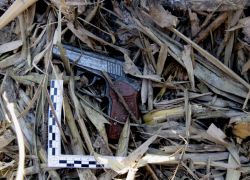 "Мачо" из Михайловки выпустил в соперника из-за ревности 13 пуль из пистолета