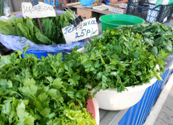 Для камышан подорожала вермишель, но подешевел "борщевой набор"