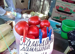 В Камышине на рынках помидоры и огурцы стали дешевле, чем в магазинах