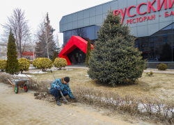 Глава Камышина Станислав Зинченко объявил сбор всех на месячник и субботник