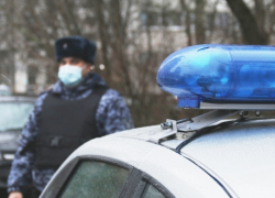 Росгвардейцы передали полиции в Камышине "удальца", похитившего мобильник у дальнобойщика