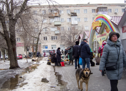 За рану, полученную от укуса бродячей собаки, суд взыскал с администрации Камышина 20 тысяч  в пользу пострадавшего - оспорить решение чиновникам не удалось