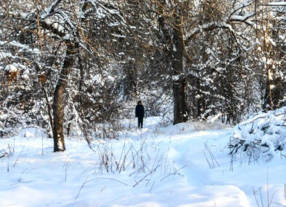 Экстренное предупреждение из-за волны арктического холода объявлено в Волгоградской области