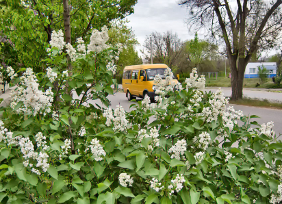 Житель Камышина предложил показать городские автобусы на Яндекс-Картах в интересах пассажиров: идея дошла до депутатов гордумы - ну, и?..