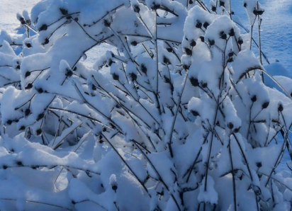 Инна Друзина, глава города Петров Вал Камышинского района, где в гололед упал и умер школьник,  отказалась комментировать, чем власти помогут несчастной семье