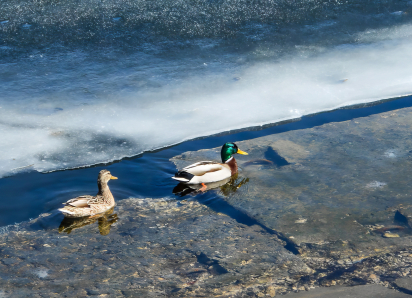 Это не шутка: глава Камышина Зинченко сегодня, 30 марта, подписал распоряжение о «досрочном» завершении отопительного сезона с 1 апреля