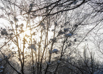 Саратовскую трассу закрыли в Камышинском районе из-за сильного тумана 