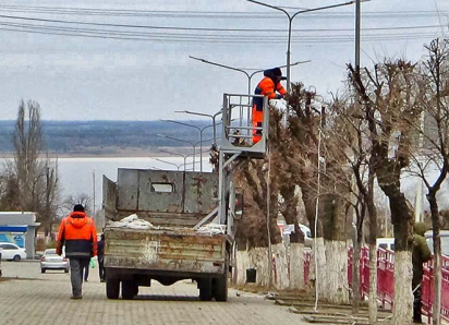 В Камышине начали одевать вязы на улице Ленина проводами для новогодней иллюминации