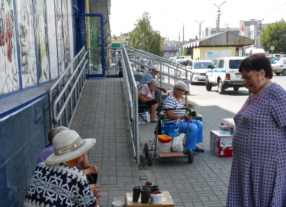 В Камышине дачники осваивают новые рынки «на земле»