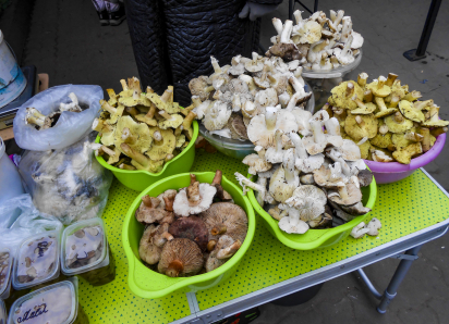 На камышинских рынках случился декабрьский грибной бум