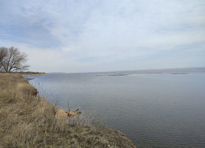 В акватории Камышина Волга стремительно очищается ото льда