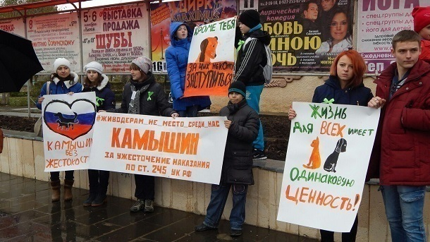 Жители Камышина вышли на митинг с требованием наказать живодерок из Хабаровска