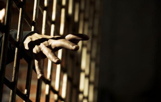 В Камышине двум водителям грозит лишение свободы до 2-х лет