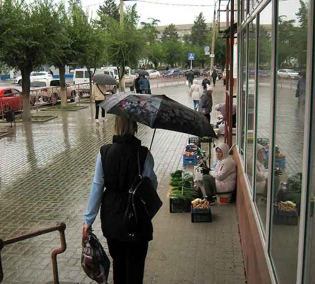 Грибной бум в Камышине заставляет торговать маслятами даже под дождем вдоль всей улицы Ленина