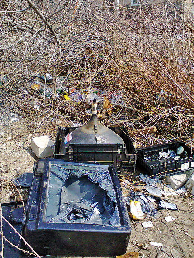 В кучах мусора, которые скапливаются в Камышине у контейнеров, горожане обнаружили «бомбу замедленного действия»