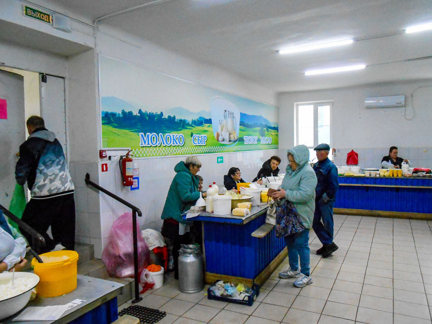 Камышанам рассказали, чем им питаться, чтобы «подкормить» свои кости 