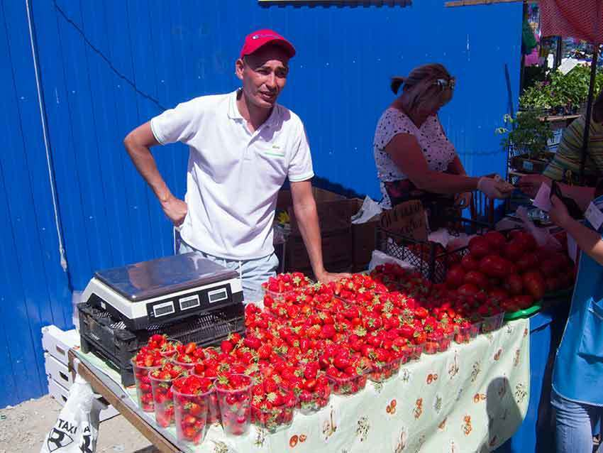 В Камышине началась продажа первой местной клубники