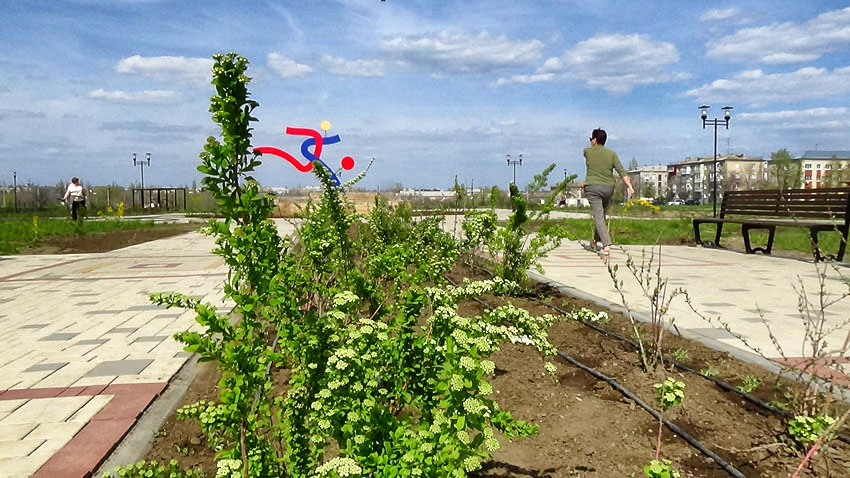 Администрация Камышина предупредила, когда в городских парках будут травить жуков