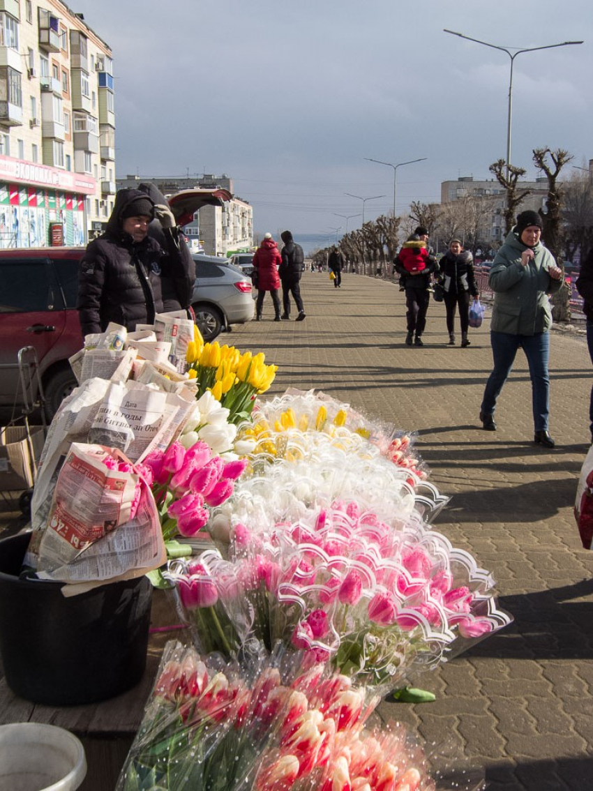 Невероятный погодный скачок в 15 градусов предсказывают синоптики в Волгоградской области уже в первой половине марта