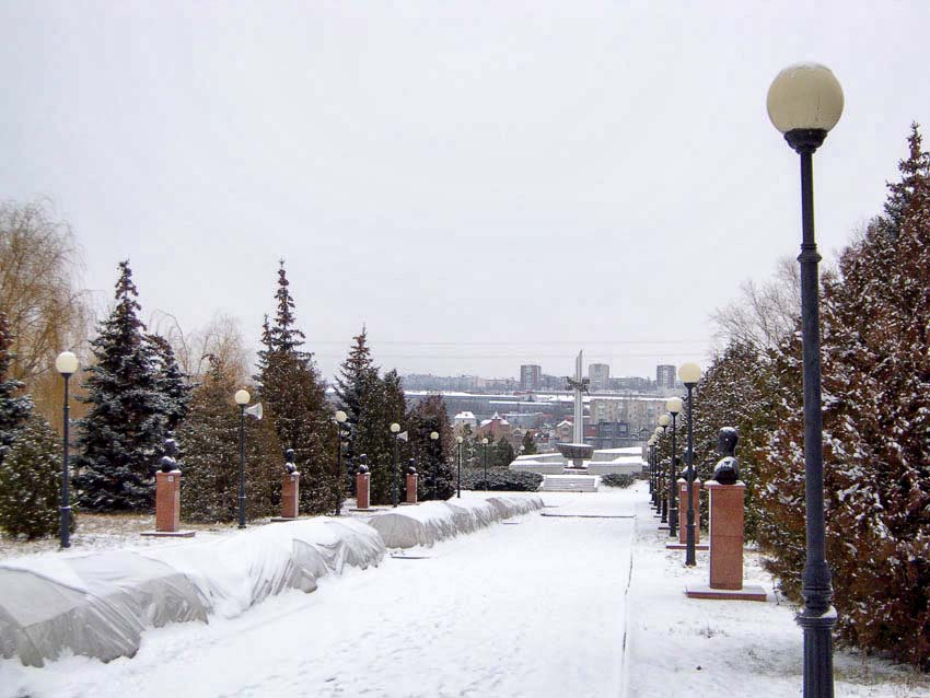 Снегопады и крепкий мороз в Рождественскую ночь придут в Камышин