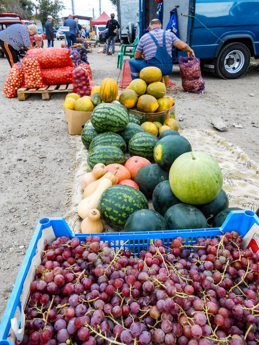 В Камышине тыква по цене почти вдвое обогнала арбузы, не отстает по дороговизне и капуста 