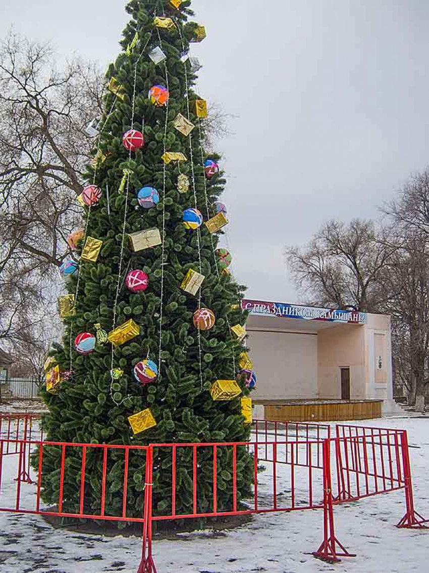 В Камышине в городском парке установили новогоднюю елку