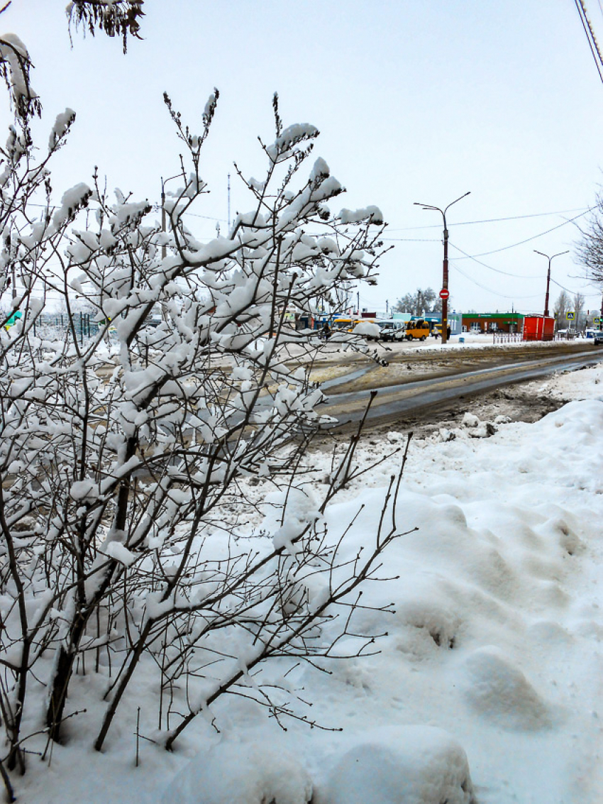 В Камышине сегодня, 15 января, к ночи ударит 15-градусный мороз