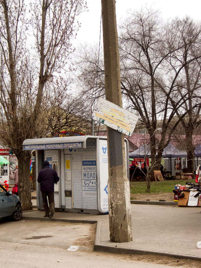 Прохожие даже заспорили, что написано на покосившемся аншлаге, настолько он оказался обтрепан, - камышанка