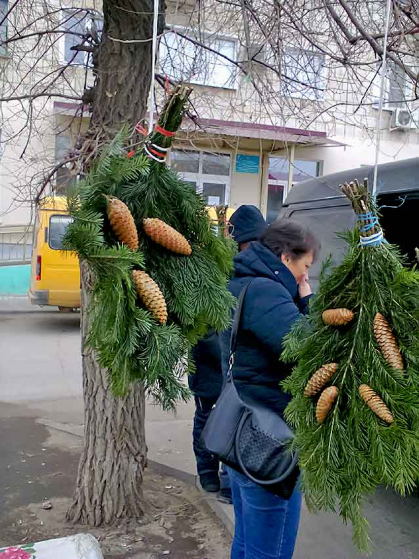 Из-за вялого спроса на елки продавцы стали торговать ими за границами зеленых базаров, а также предлагать хвойные букеты